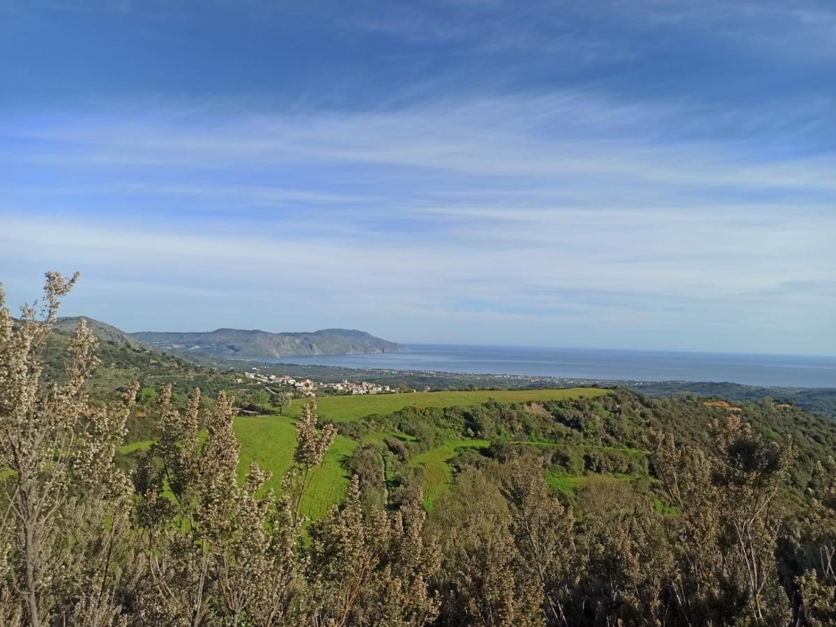 Pelagias Villa Lefka With Heated Pool Mathés Εξωτερικό φωτογραφία
